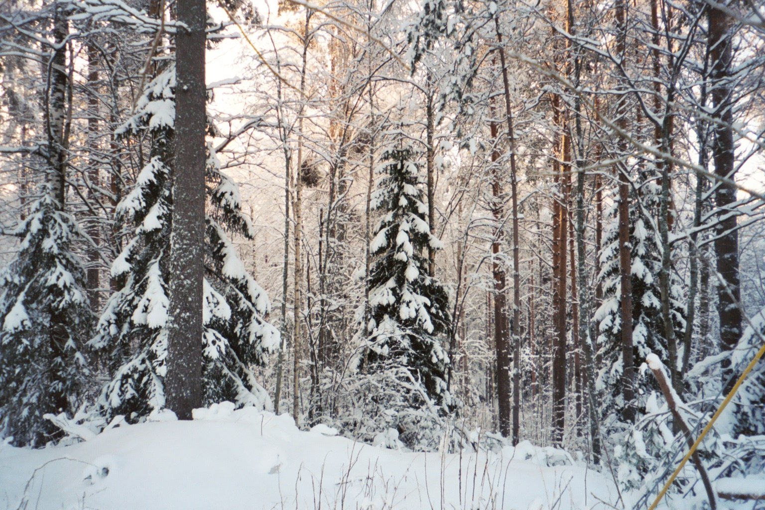 Suomen luonto on monin tavoin palkitseva matkakohde 